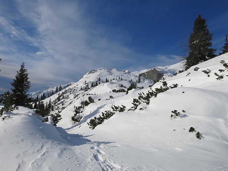 Buchbergkogel